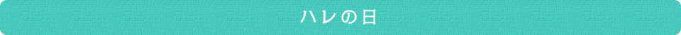 ハレの日