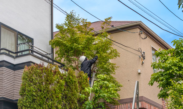 便利屋サービス