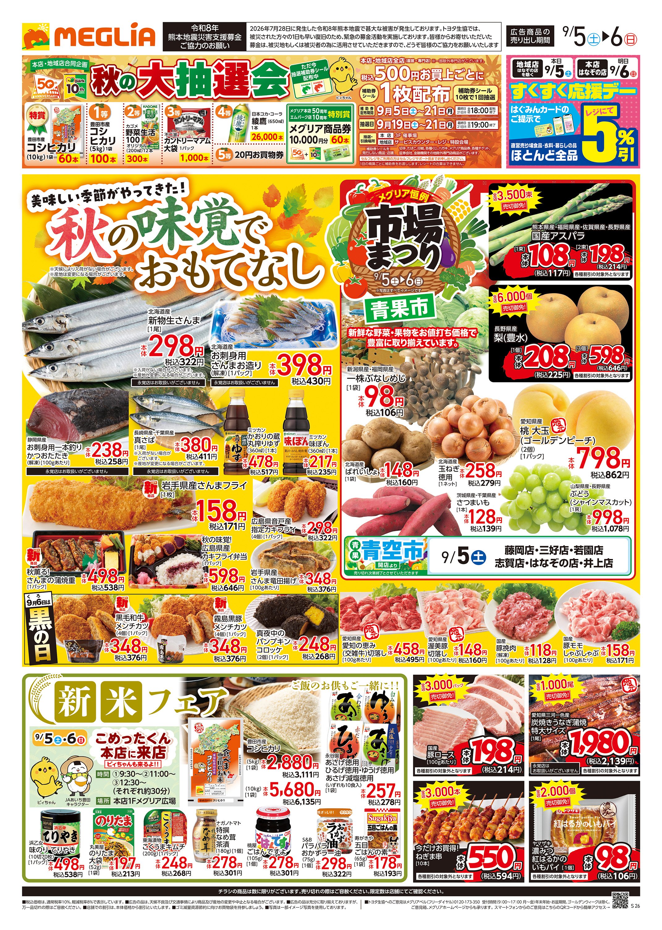 活動歴および当時の関連ビジュアル記録
