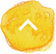 ページトップへ