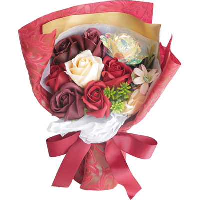 �\�[�v�t�����[�u�G���K���g���[�Y�v