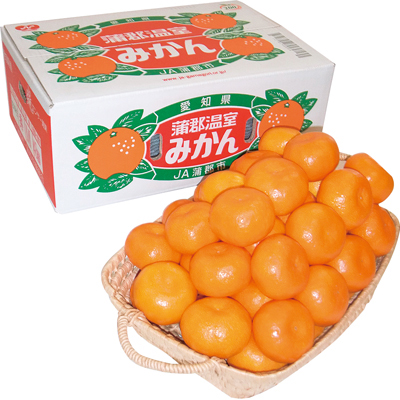 蒲郡温室みかん 優品アップ M5kg