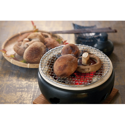 松平産生椎茸(菌床)