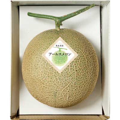 �c�@�F�{���Y�A�[���X������