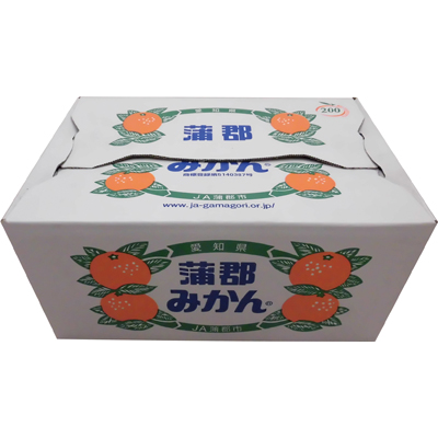 愛知県産 蒲郡みかん