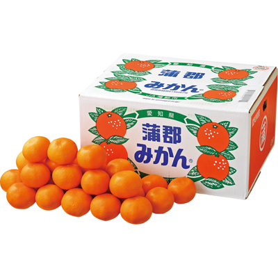 蒲郡みかん 10Kg