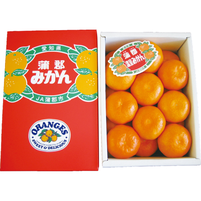蒲郡温室みかん1.8Kg