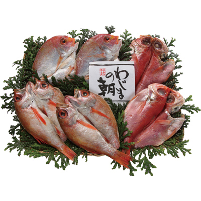 輪島の朝干物(のどぐろ入り)