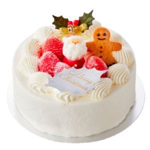 �y05�zSAN�L�c�@�������V���[�g�P�[�L(12/24���) 5���E��15cm