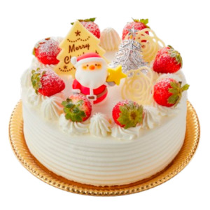 �y08�z�A���W���@䕂̃N���X�}�X(12/24���) 5���E��15cm