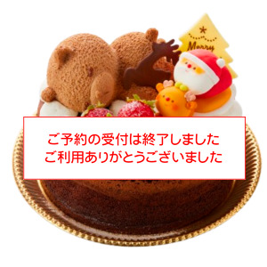 �y09�z�A���W���@�����肭�܂���(12/24���) 5���E��15cm