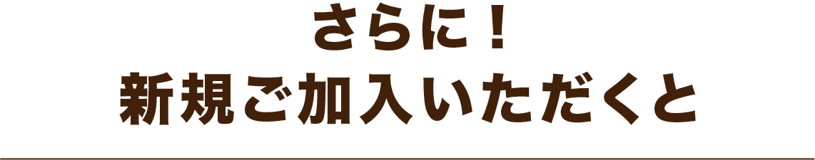 さらに!新規ご加入いただくと