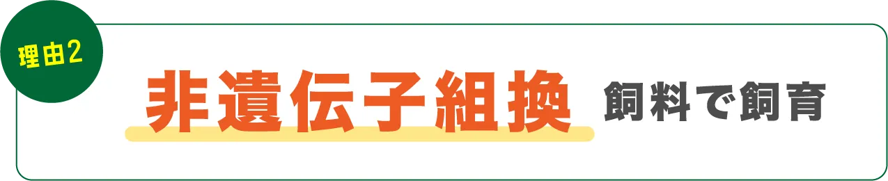 理由02非遺伝子組換飼料で飼育