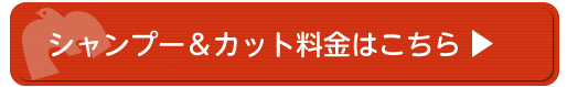 シャンプーカットの料金はこちら