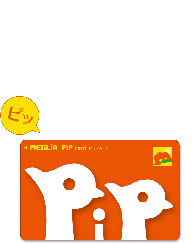 PiP card ピッピカード